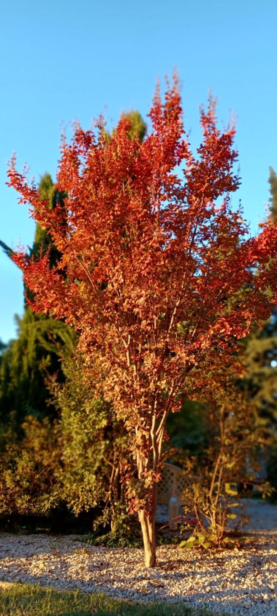 Le Gite Calluna Sablet Rom bilde